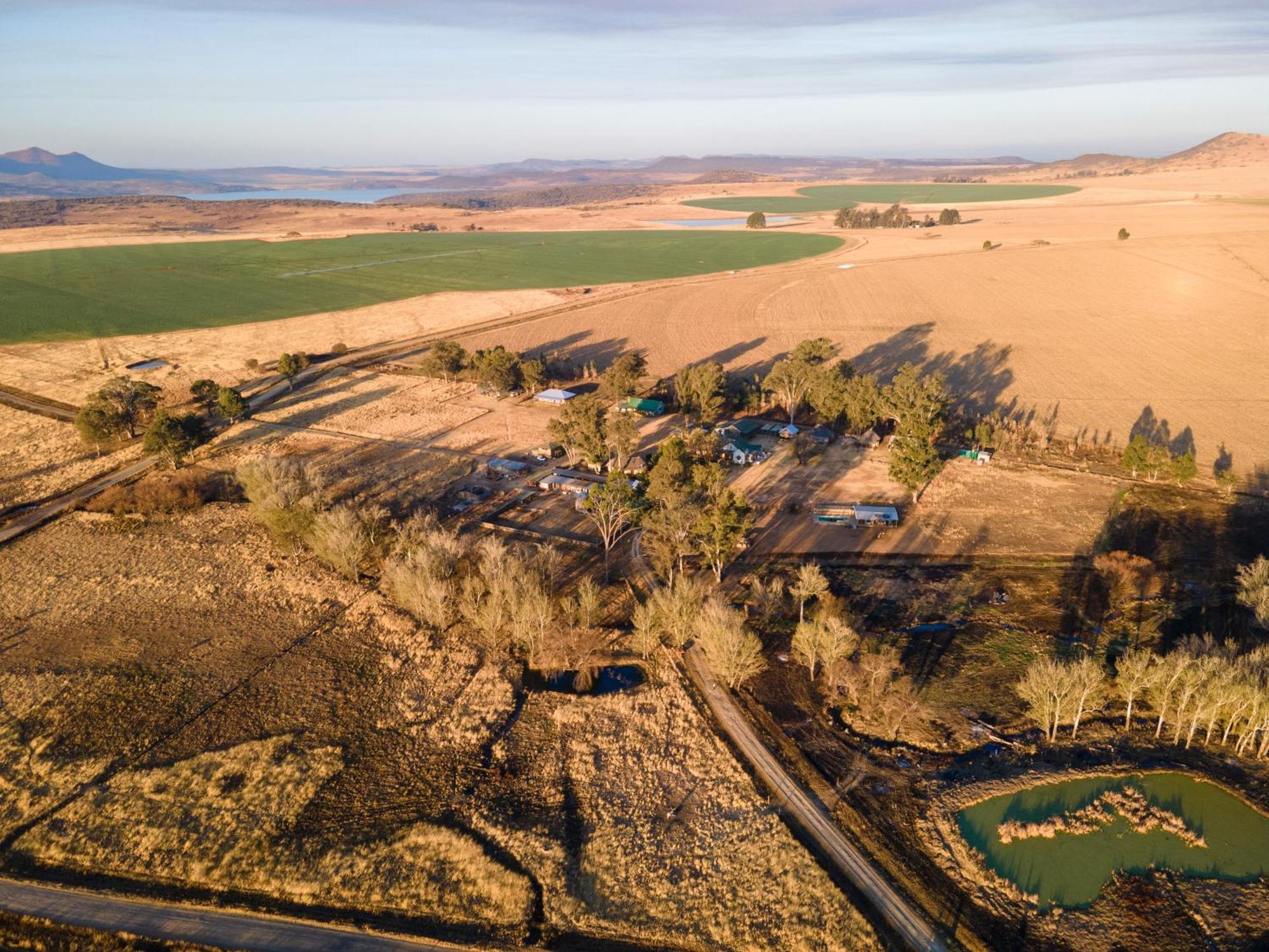 Dalmore Guest Farm バーグビル エクステリア 写真